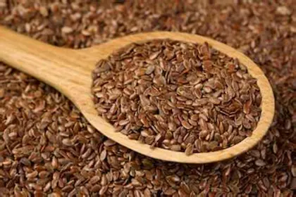 Alshi Bej, Flex Seed Seed, 200 Seeds (unpacked)