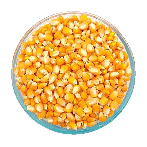 Makka Dana  Unpacked