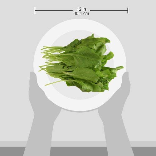 Fresh Spinach (Palak ) Unpacked