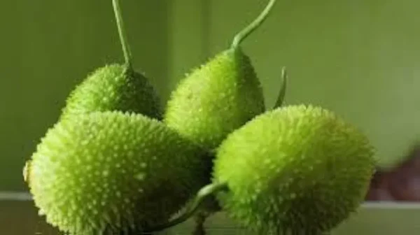 Kakora Vegetable 1kg