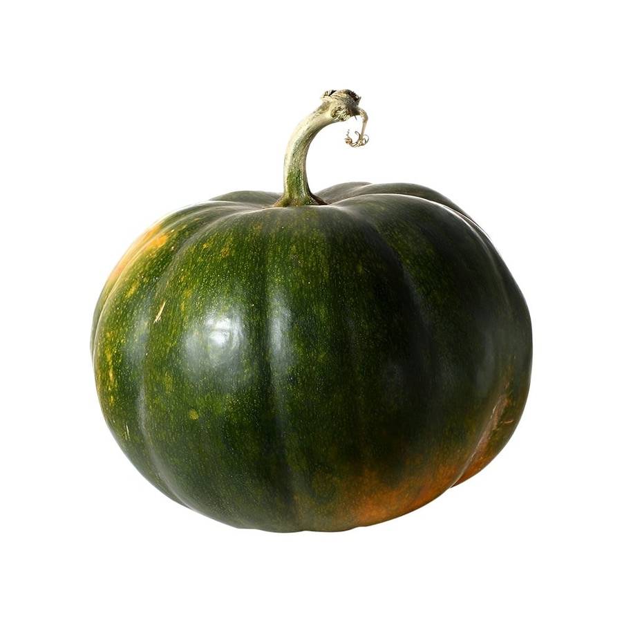 1b883735-6d54-45e3-ad9c-d5d2433c5a99 Hara Kaddu (Green Pumpkin)