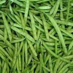 cluster-beans-250x250 Gwar ki phali (cluster beans)